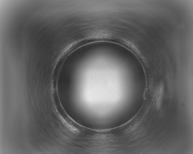 X0000062830629200601171420