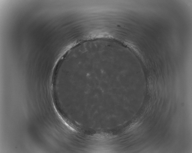 X0000062830630200601171420