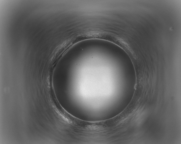 X0000062830633200601171420