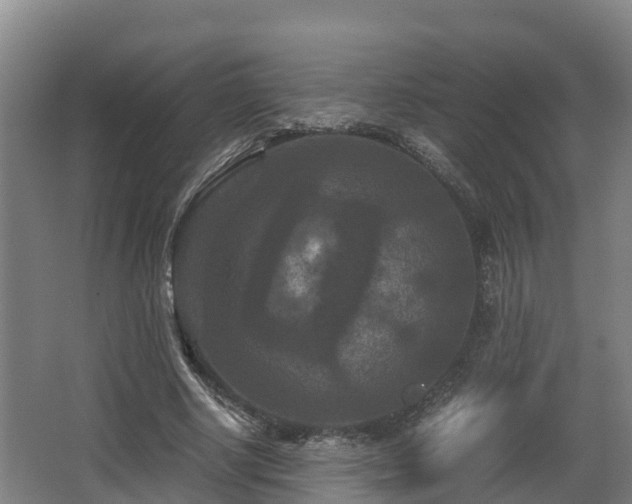 X0000062830634200601171420