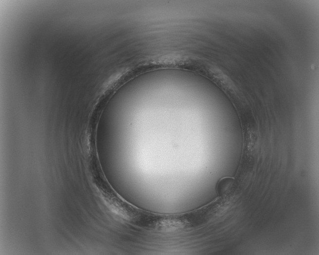 X0000062830636200601171420