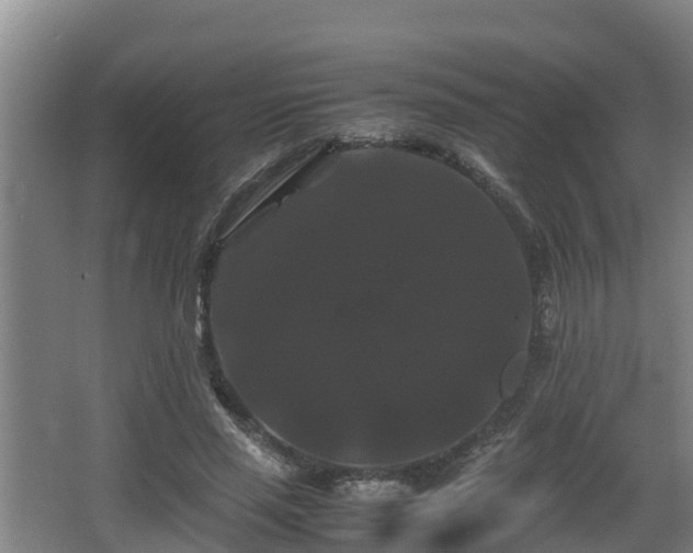 X0000062830637200601171420