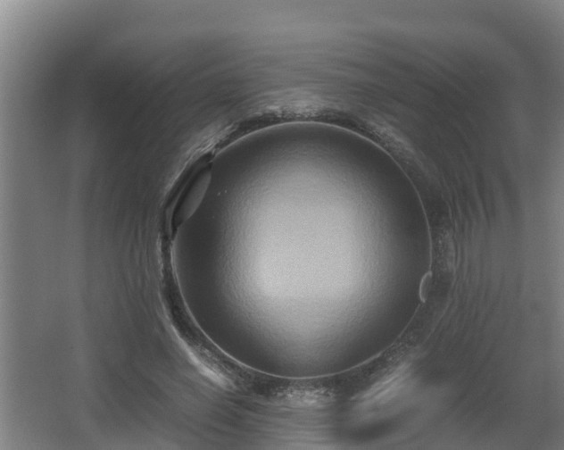 X0000062830638200601171420