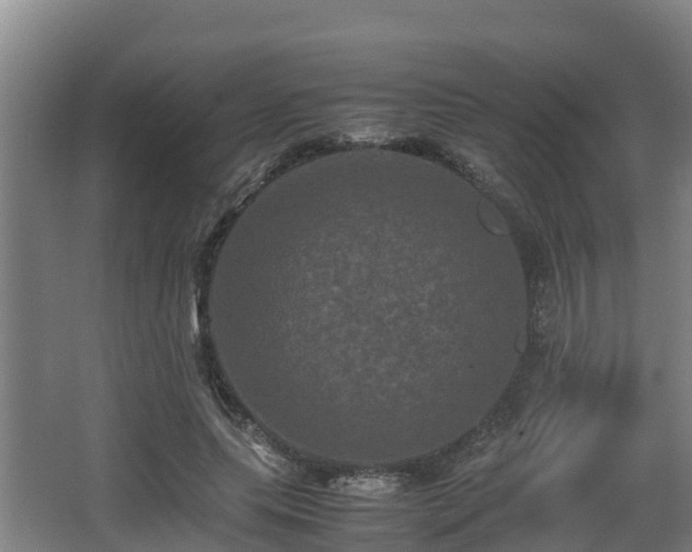 X0000062830639200601171420