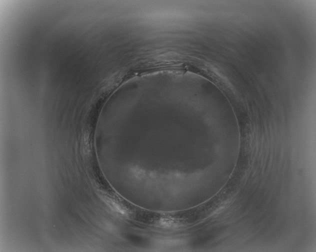 X0000062830641200601171420