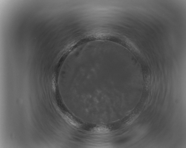 X0000062830644200601171420