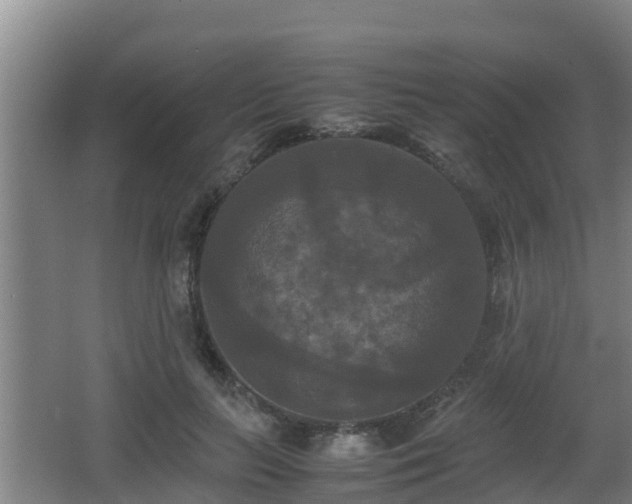 X0000062830647200601171420