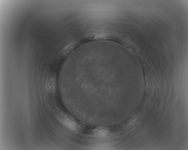 X0000062830648200601171420