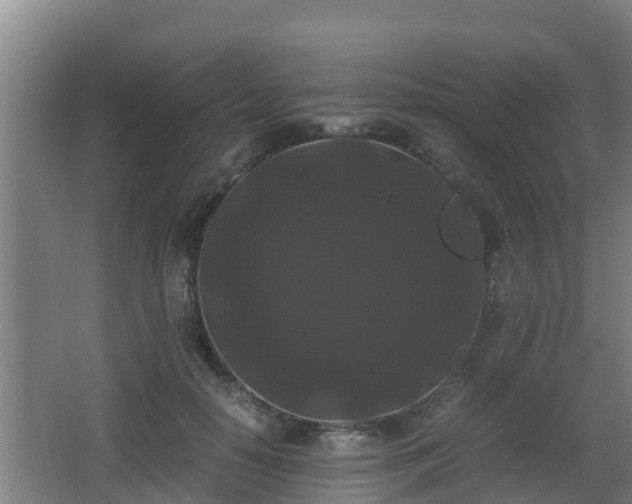 X0000062830650200601171420