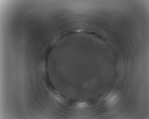 X0000062830651200601171420