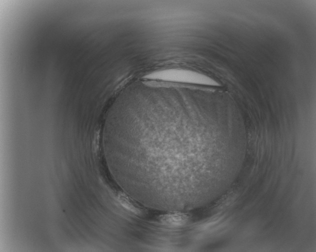 X0000062830652200601171420