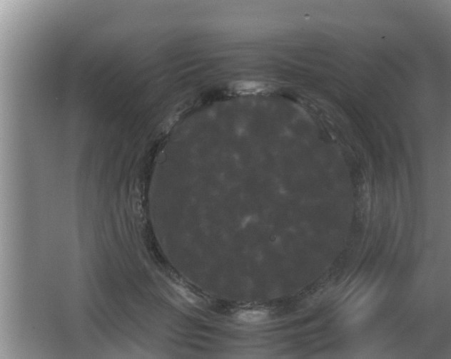 X0000062830653200601171420