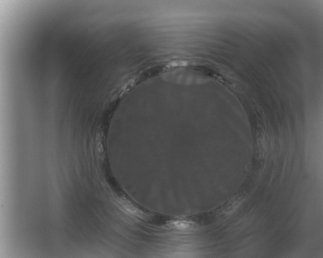 X0000062830654200601171420