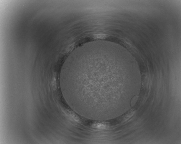 X0000062830655200601171421