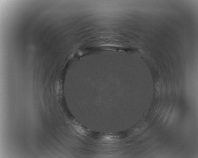 X0000062830657200601171421