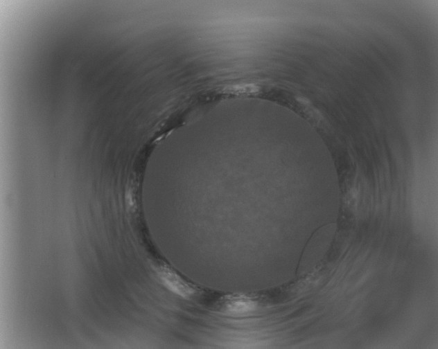 X0000062830658200601171421