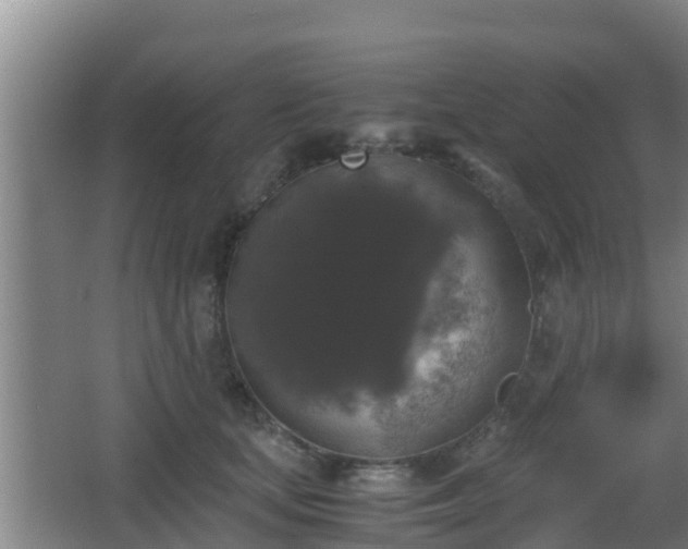 X0000062830659200601171421