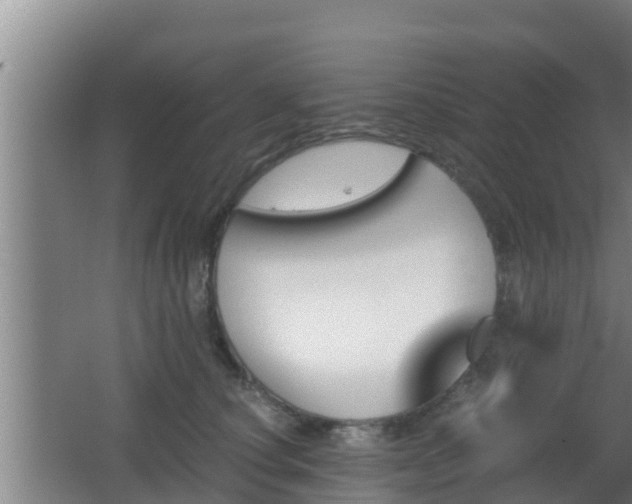 X0000062830660200601171421