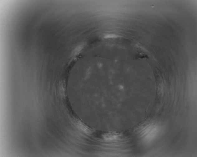 X0000062830661200601171421