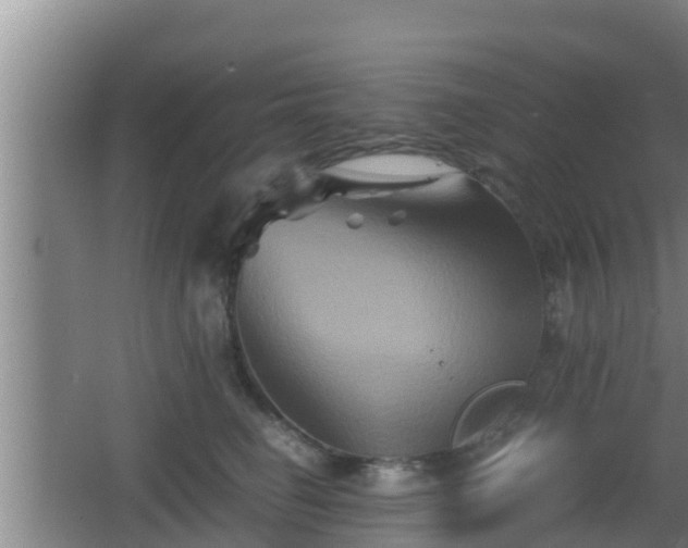 X0000062830662200601171421