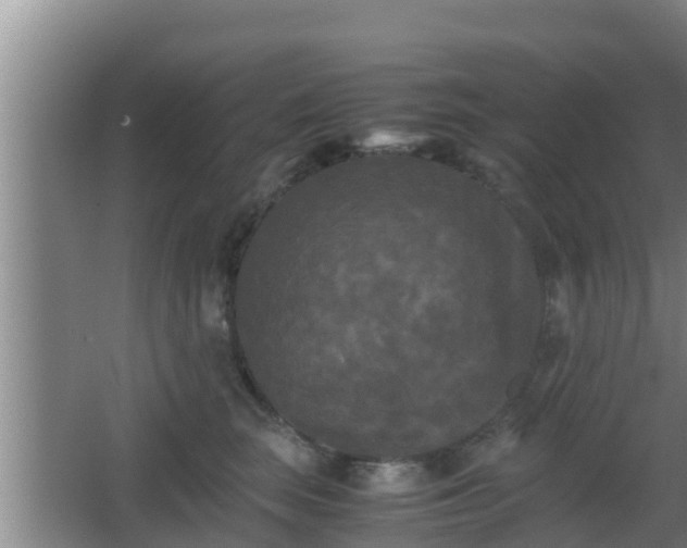 X0000062830663200601171421