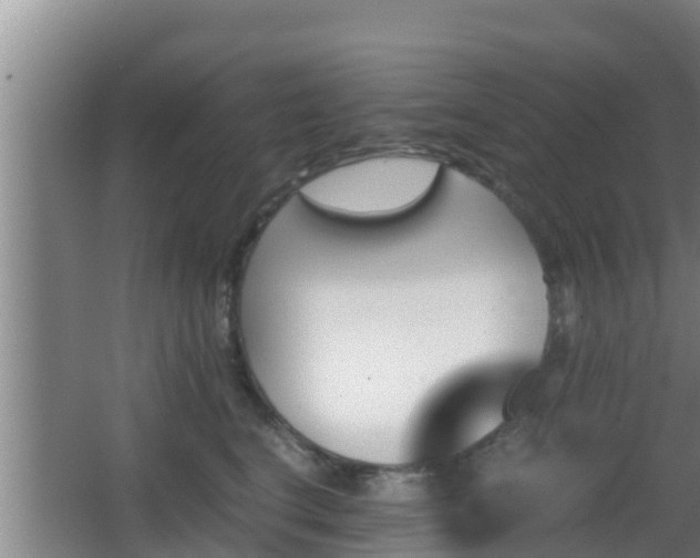 X0000062830664200601171421