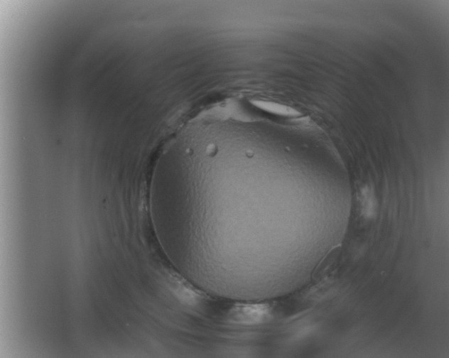 X0000062830665200601171421