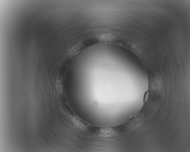 X0000062830666200601171421