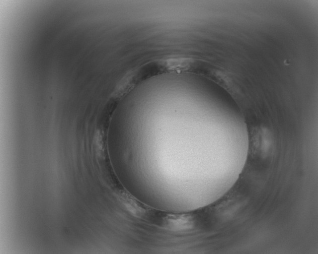 X0000062830667200601171421