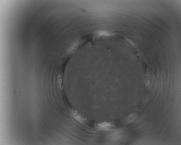 X0000062830669200601171421