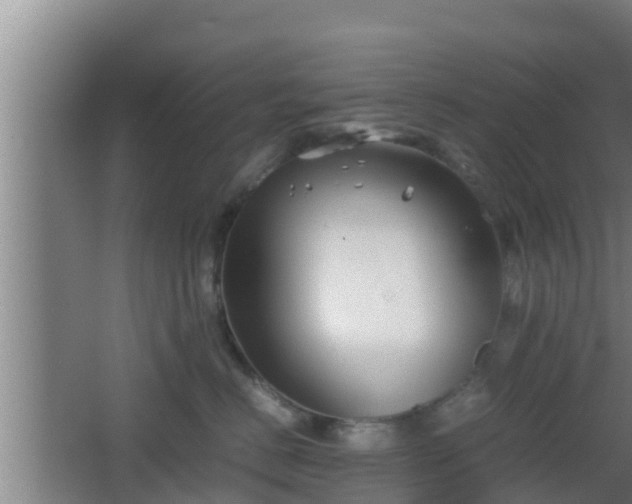 X0000062830670200601171421