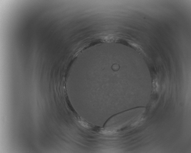 X0000062830671200601171421