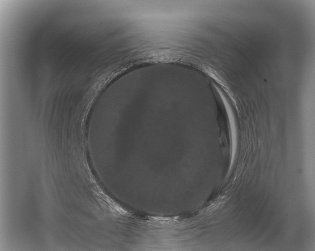 X0000062830673200601171420