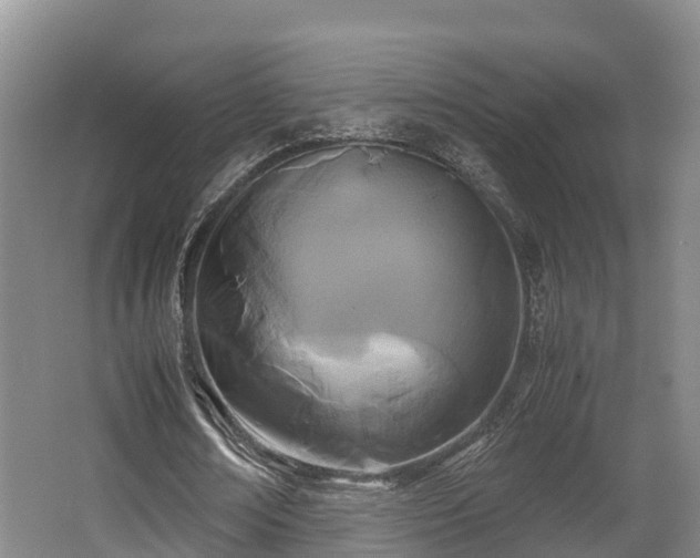 X0000062830674200601171420