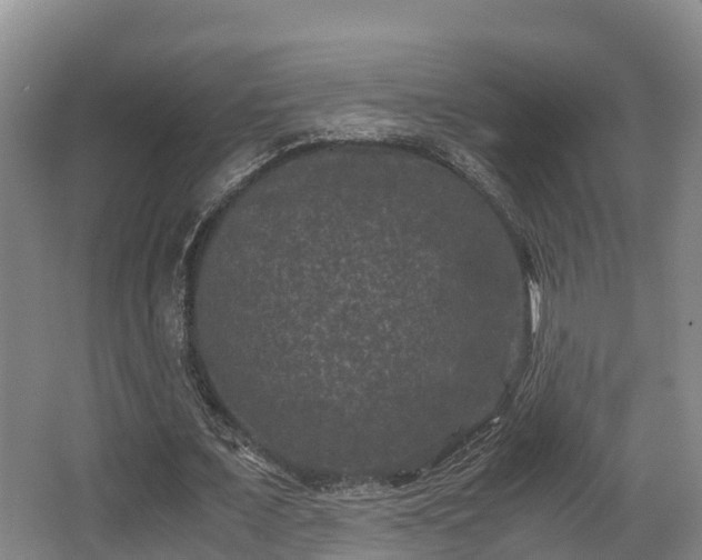 X0000062830675200601171420