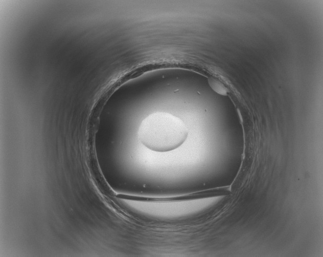 X0000062830677200601171420