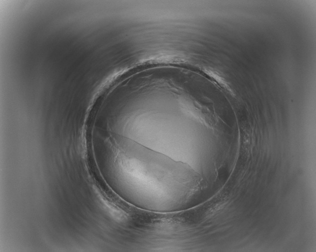 X0000062830678200601171420