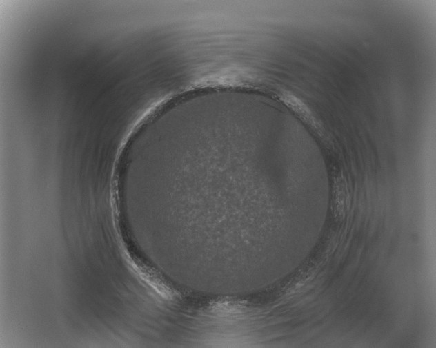 X0000062830680200601171420