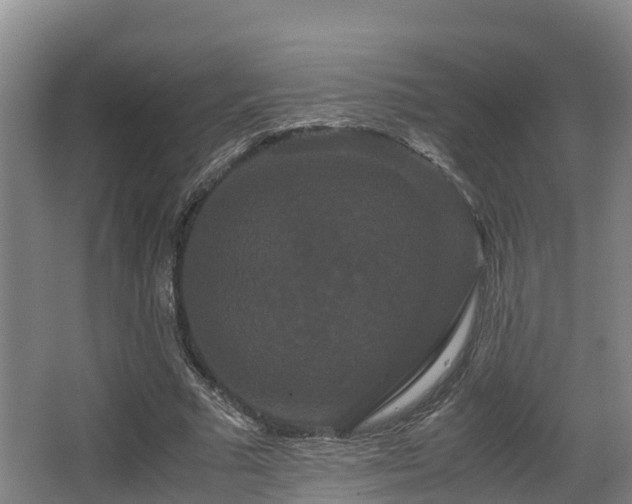 X0000062830681200601171420