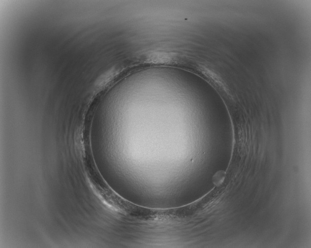 X0000062830682200601171420