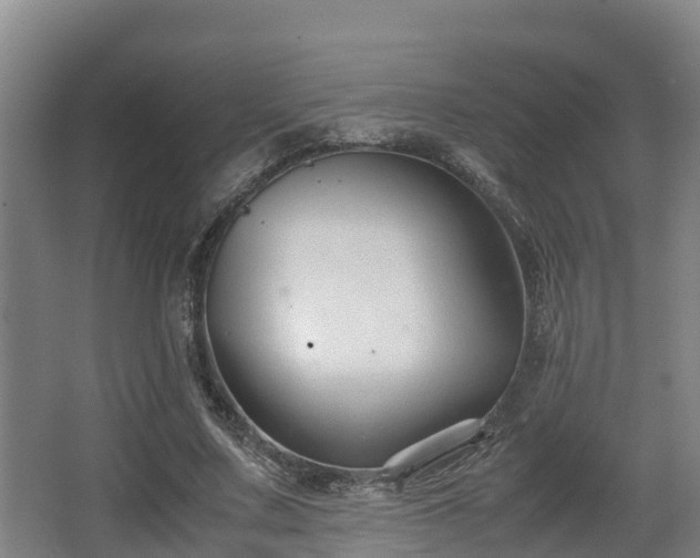 X0000062830683200601171420