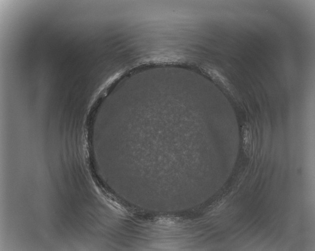 X0000062830684200601171420