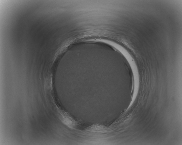 X0000062830685200601171420