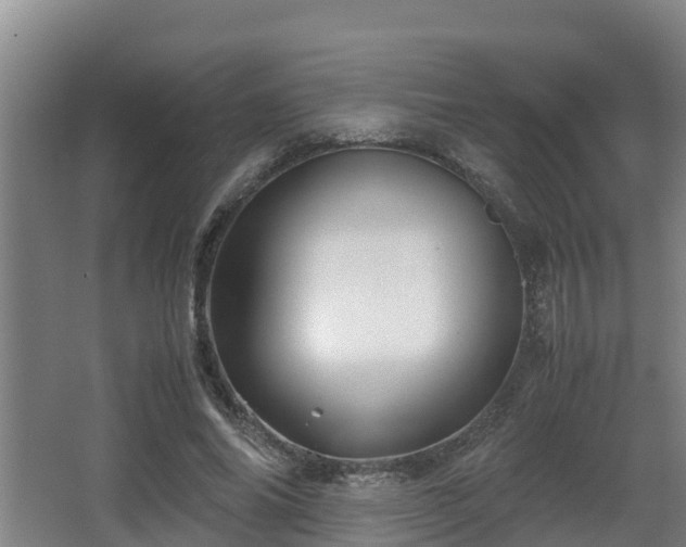 X0000062830686200601171420