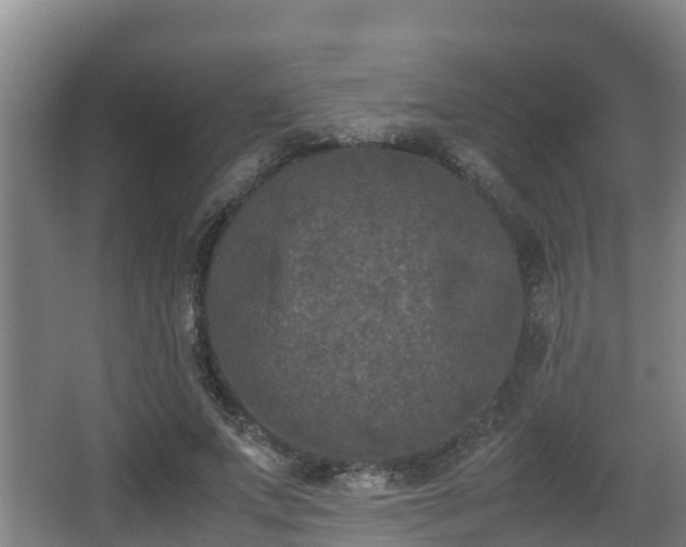 X0000062830687200601171420