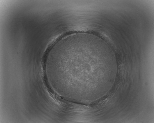 X0000062830688200601171420