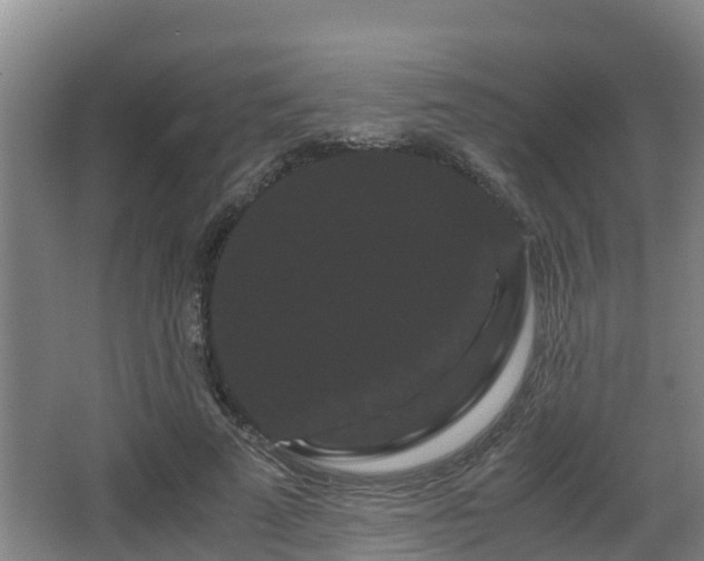 X0000062830689200601171420