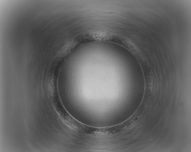 X0000062830690200601171420