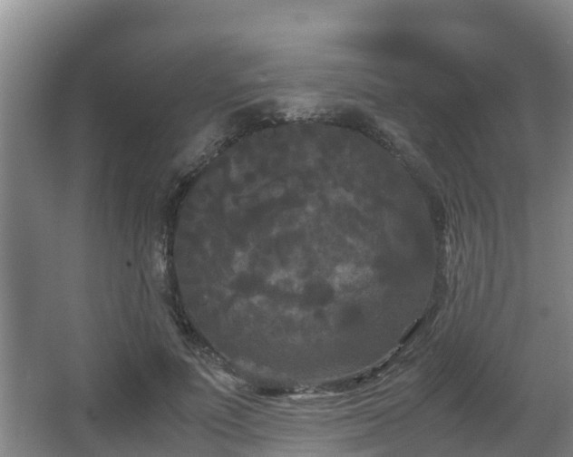 X0000062830691200601171420