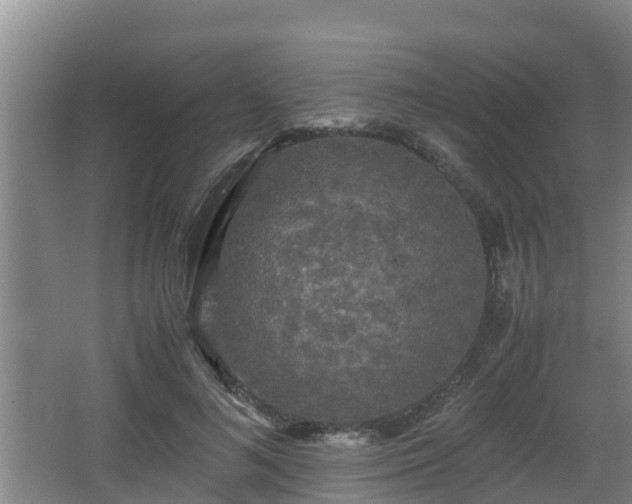 X0000062830692200601171420